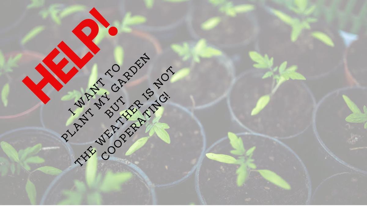 'Video thumbnail for Help! I Want To Plant My Garden But The Weather Isn't Cooperating Day 1372 Experimental Homesteader'