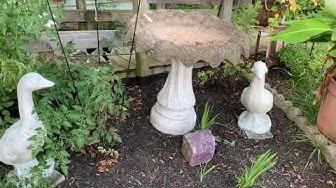 'Video thumbnail for New Projects And Garden Cleanup Day 1778 Experimental Homesteader'