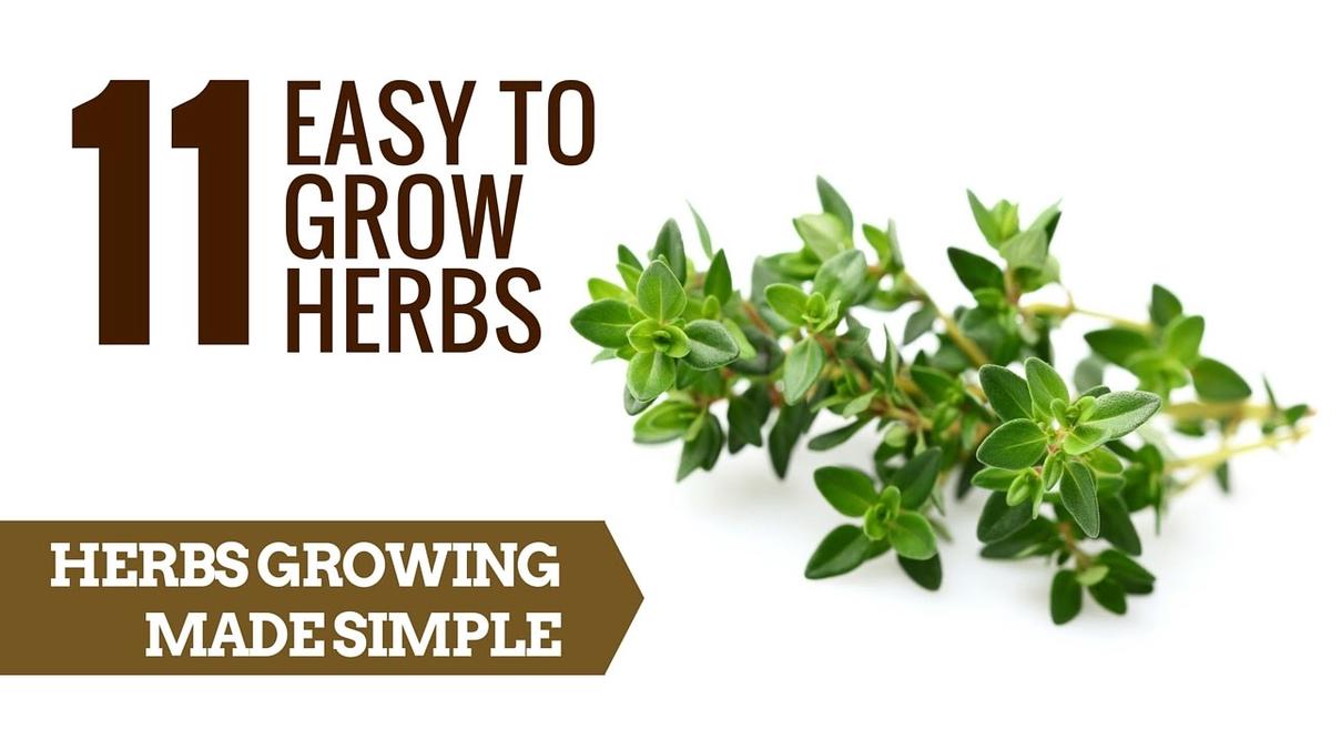 'Video thumbnail for 11 Easy to grow herbs | Herb Growing For Beginners'