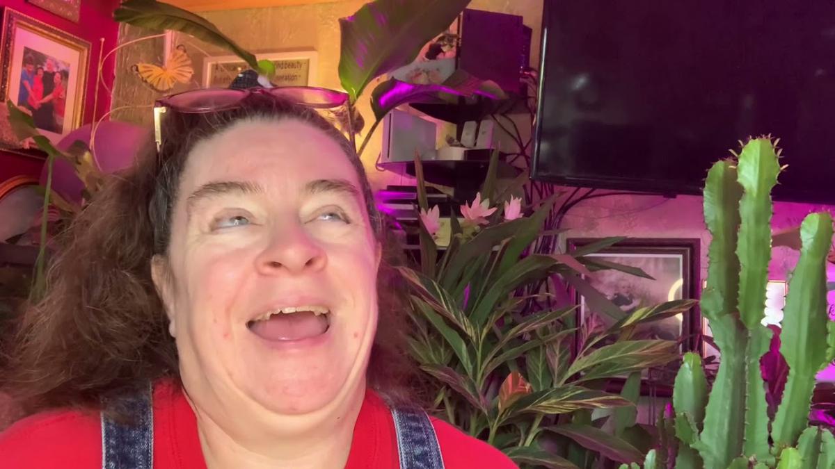 'Video thumbnail for Unboxing FujiWay Grow Lights For Indoor Plants'