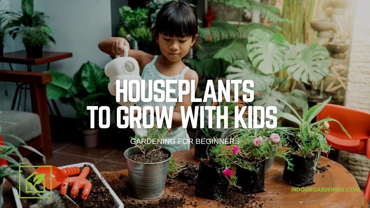 'Video thumbnail for Houseplants To Grow With Kids'