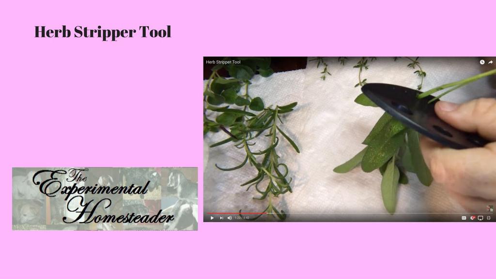 'Video thumbnail for Herb Stripper Tool'