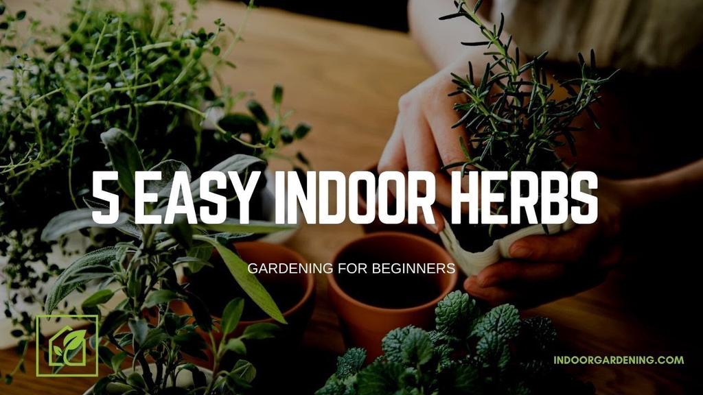 'Video thumbnail for 5 Easy Indoor Herbs'