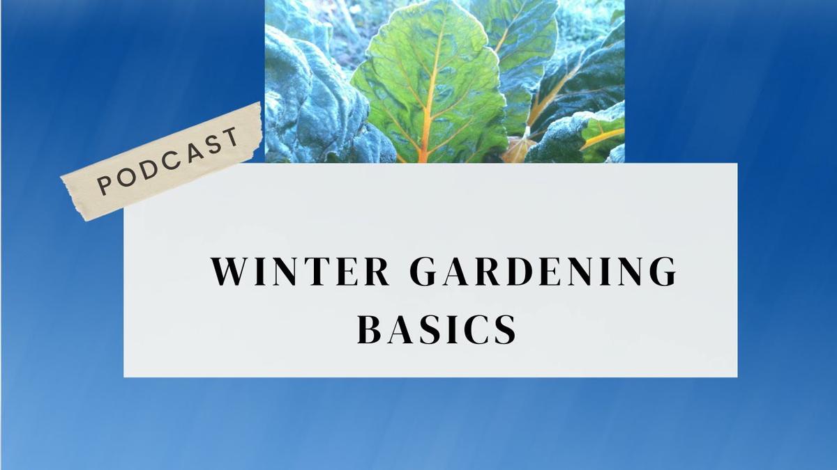 'Video thumbnail for Winter Gardening Basics Podcast'