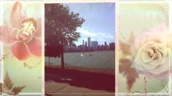 'Video thumbnail for Chicago the day before BlogHer13 - Sheri Ann Richerson ExperimentalHomesteader.com'
