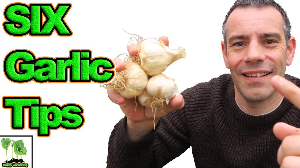 'Video thumbnail for How To Grow Garlic At Home | 6 Amazing Tips'