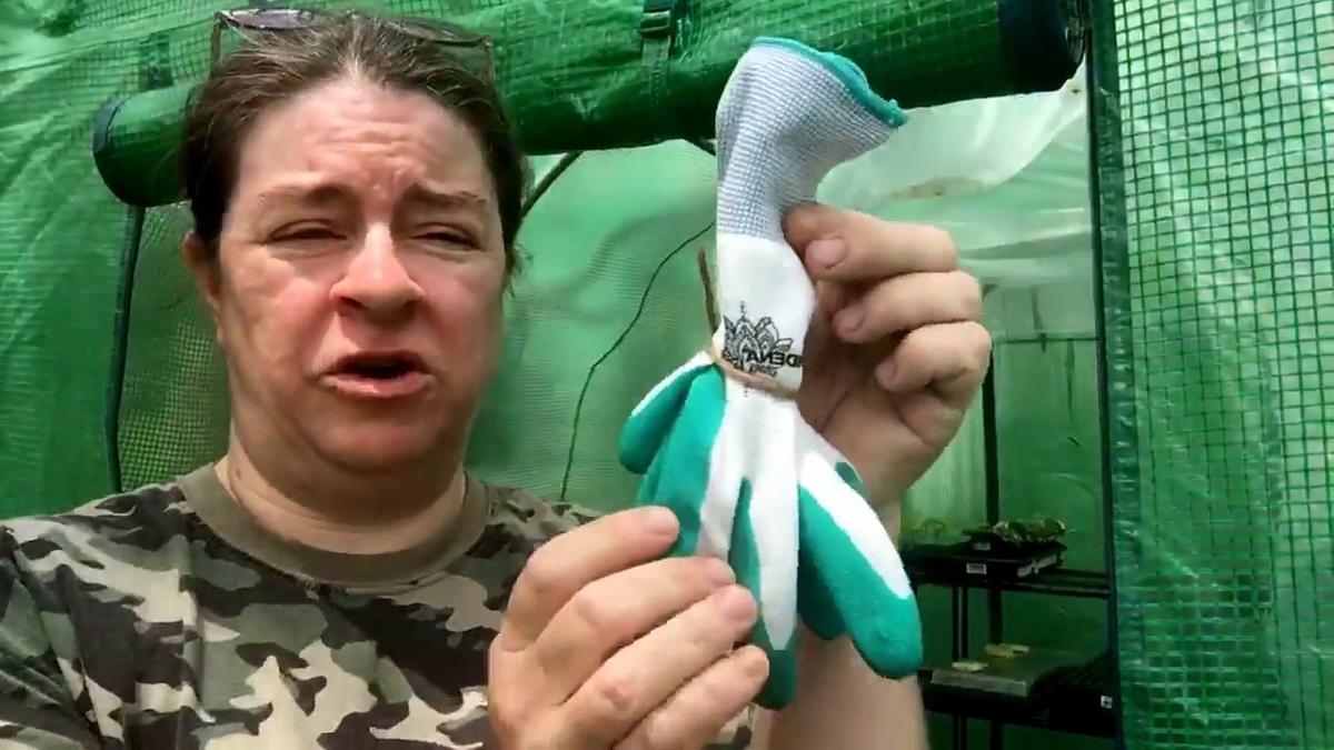 'Video thumbnail for Seed Plant Bloom Organic Gardening Subscription Box Unboxing'