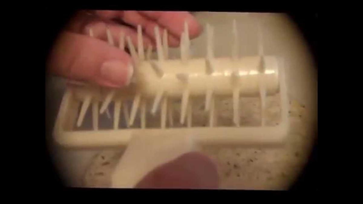 'Video thumbnail for Orblue Pizza Dough Docker ExperimentalHomesteader.com'