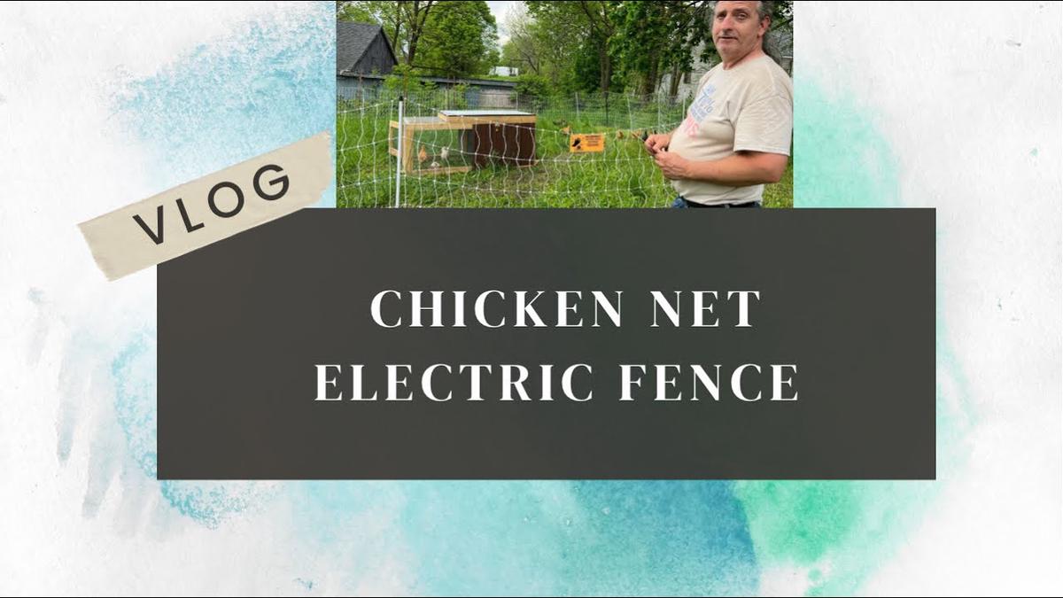 'Video thumbnail for Chicken Net Electric Fence Day 2422 Experimental Homesteader'