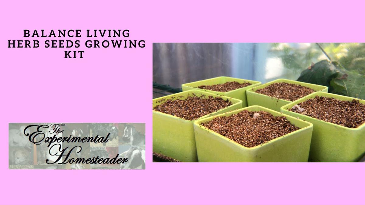 'Video thumbnail for Balance Living Herb Seeds Growing Kit'