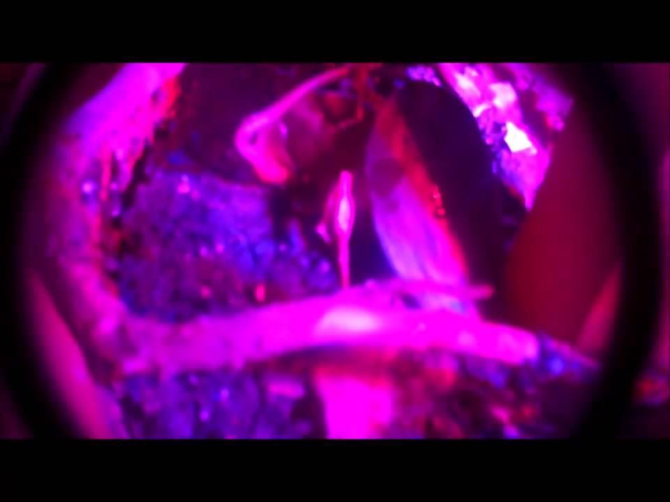 'Video thumbnail for growhobby LED Grow Light ExperimentalHomesteader.com Sheri Ann Richerson'