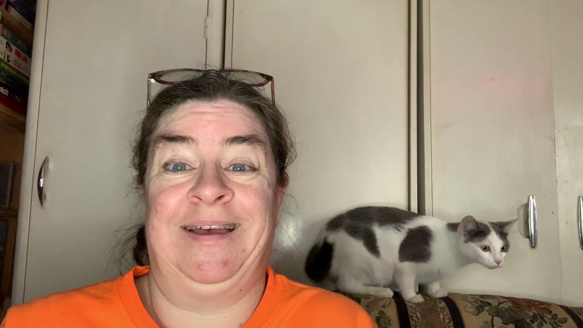 'Video thumbnail for Farm Hounds Treat Unboxing + First Taste'