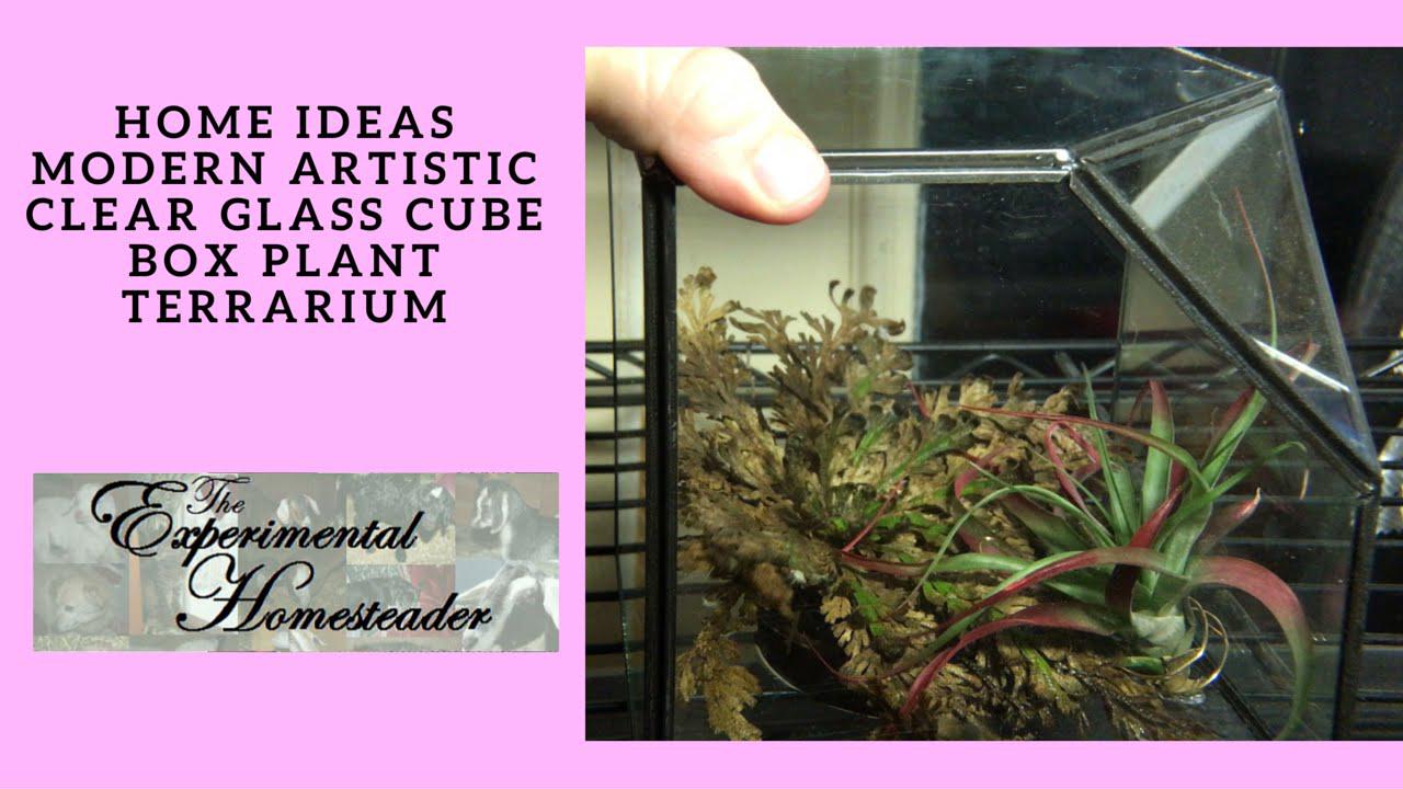 'Video thumbnail for HomeIdeas Modern Artistic Clear Glass Cube Box Plant Terrarium'