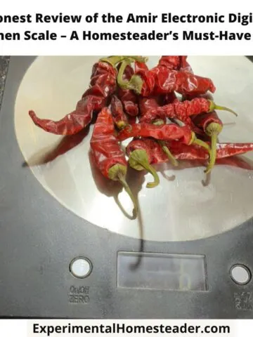 A digital kitchen scale with dried red chili peppers placed on its stainless steel surface.