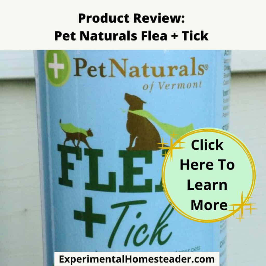 Fleas Are Dangerous But A Seresto Flea Collar Helps Protect Pets