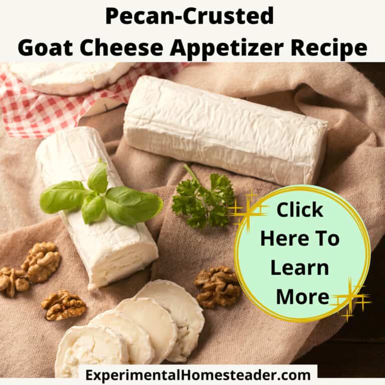 Creamy goat cheese appetizer with walnuts and fresh herbs, perfect for homemade petits plats.