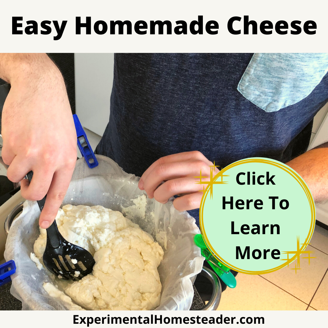 Homemade cheese in a cheesecloth lined strainer with someone using a spoon to press the excess whey out.