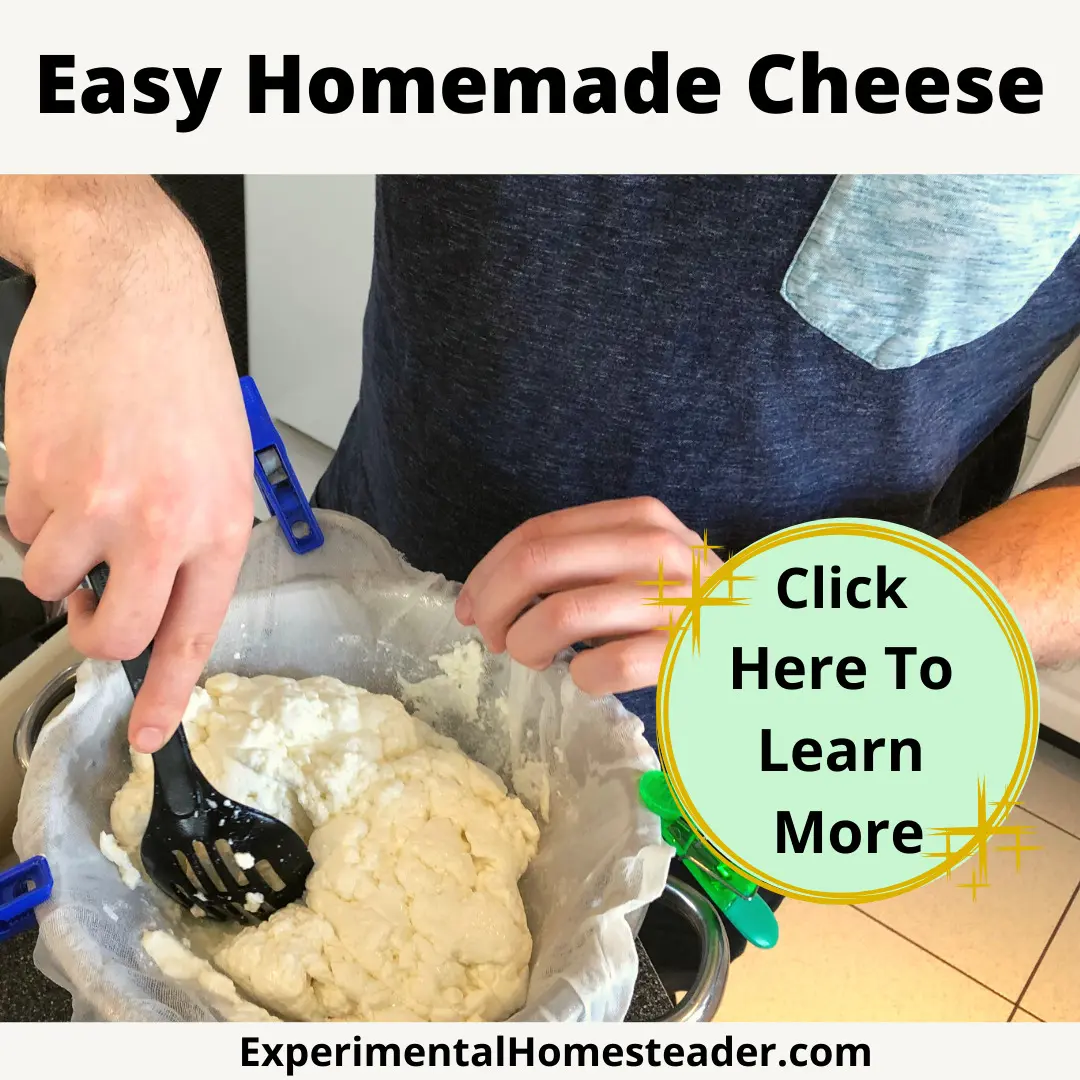 Homemade cheese in a cheesecloth lined strainer with someone using a spoon to press the excess whey out.