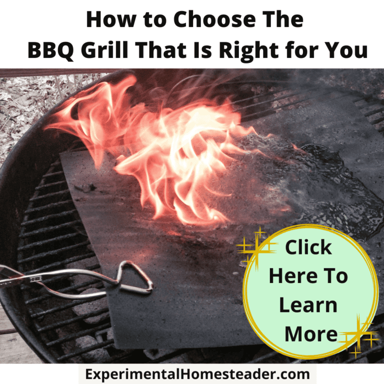 Fire on a BBQ grill for choosing the right grill, outdoor cooking, grill selection, homesteading tips, BBQ essentials.