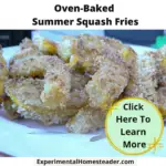 Oven baked summer squash fries on a plate.