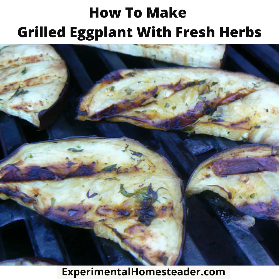 Eggplant on the grill with fresh herbs on it.