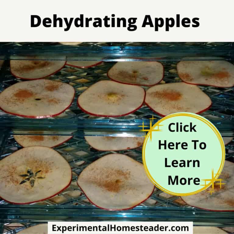 Dehydrating apples, fruit preservation, homemade dehydrated apple slices, apple drying process, experimental homesteader.