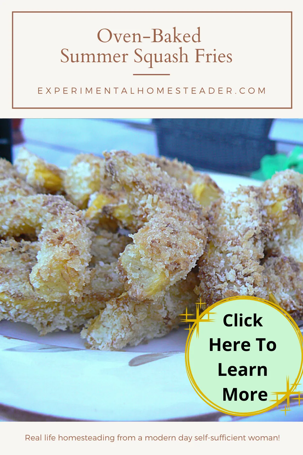 Oven baked summer squash fries on a plate.