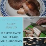 The top photo shows whole shiitake mushrooms. The second photo shows shiitake mushrooms being sliced. The third photo shows the shiitake mushrooms dried on a dehydrator rack.