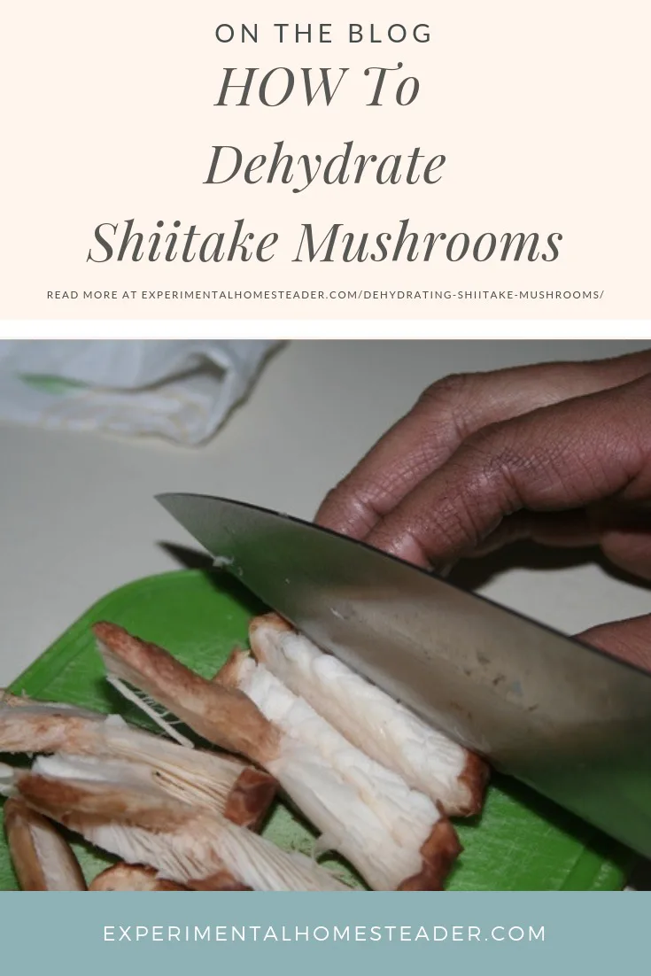 Shiitake mushrooms being sliced.