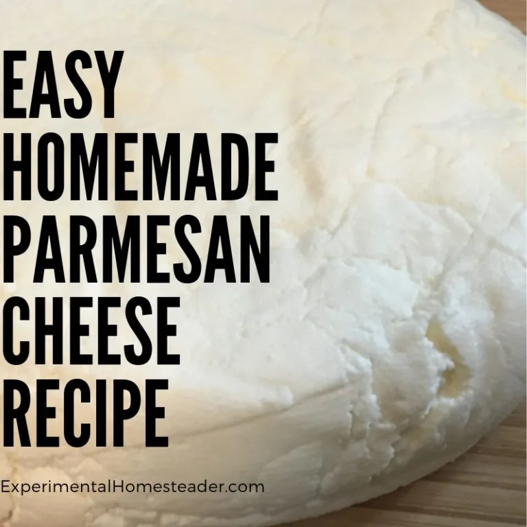 Molded and cured homemade parmesan cheese.