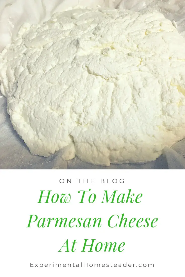 Easy Homemade Parmesan Cheese Recipe - Experimental Homesteader