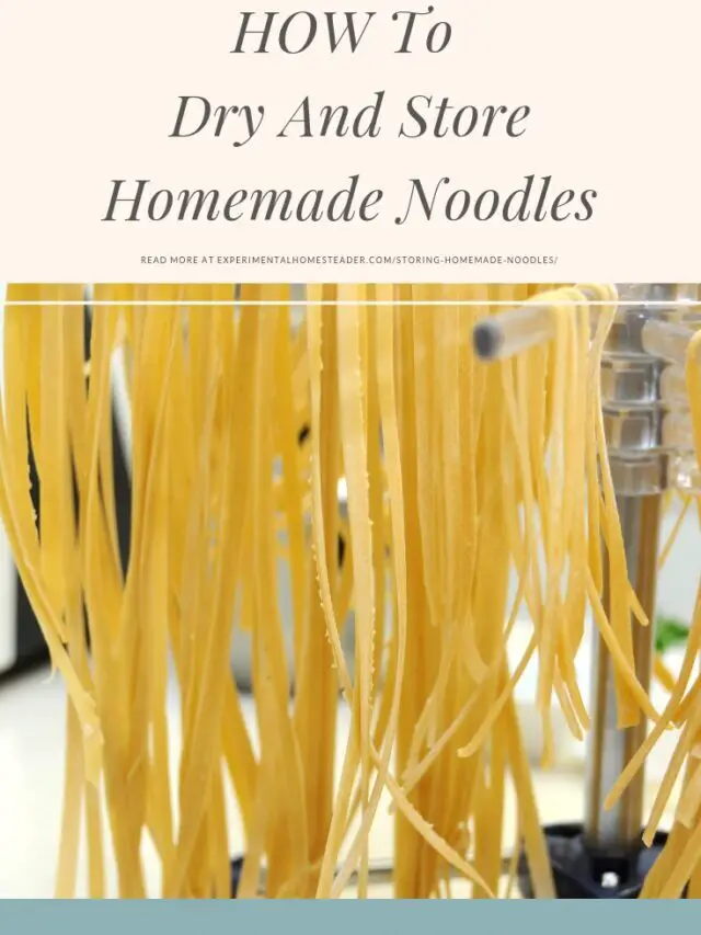 How To Dry And Store Homemade Noodles Story
