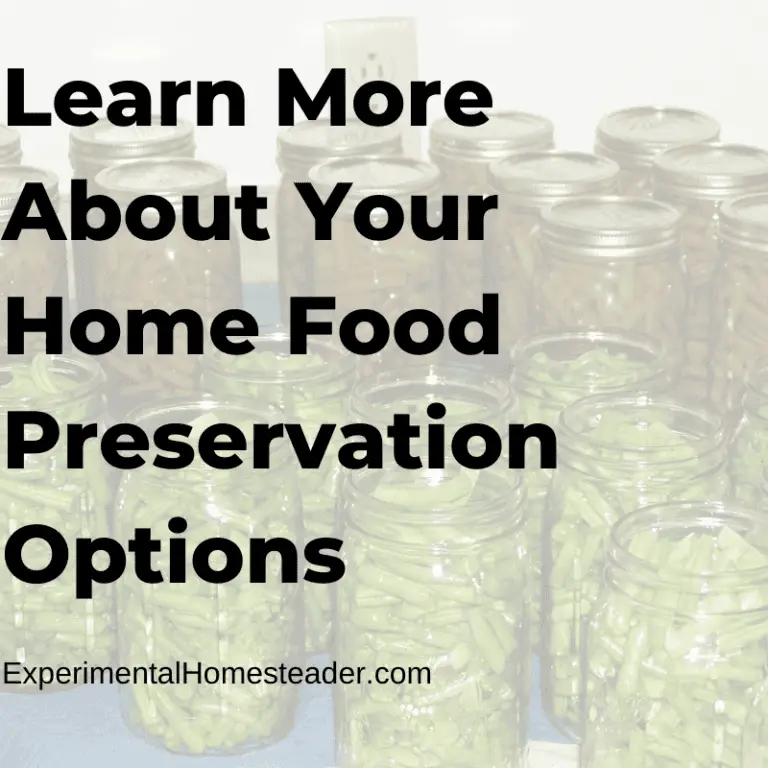 10 Home Food Storage Solutions That Will Inspire You Experimental