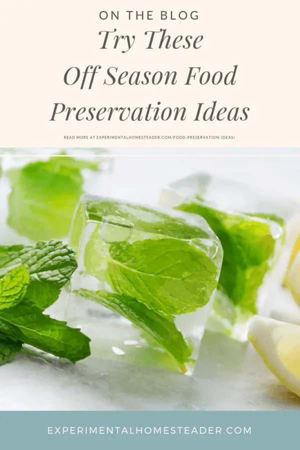 Try These Off Season Food Preservation Ideas Experimental Homesteader