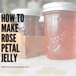 Rose petal jelly in canning jars.