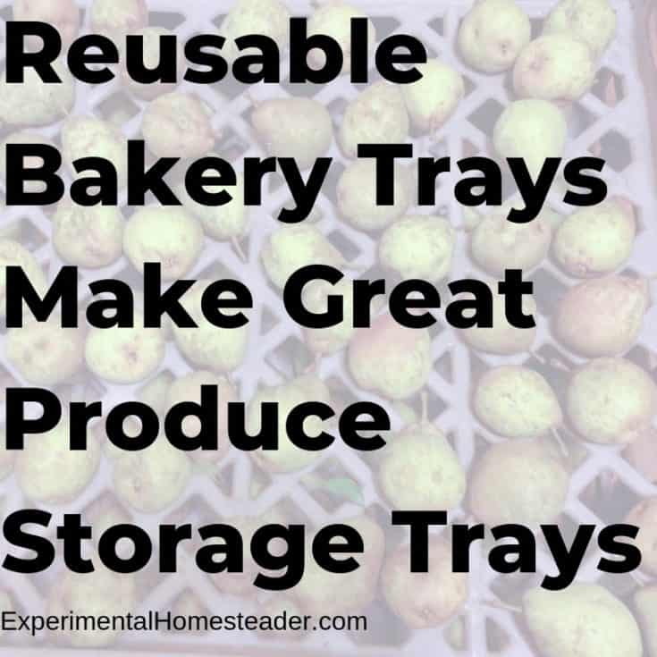 10 Home Food Storage Solutions That Will Inspire You Experimental