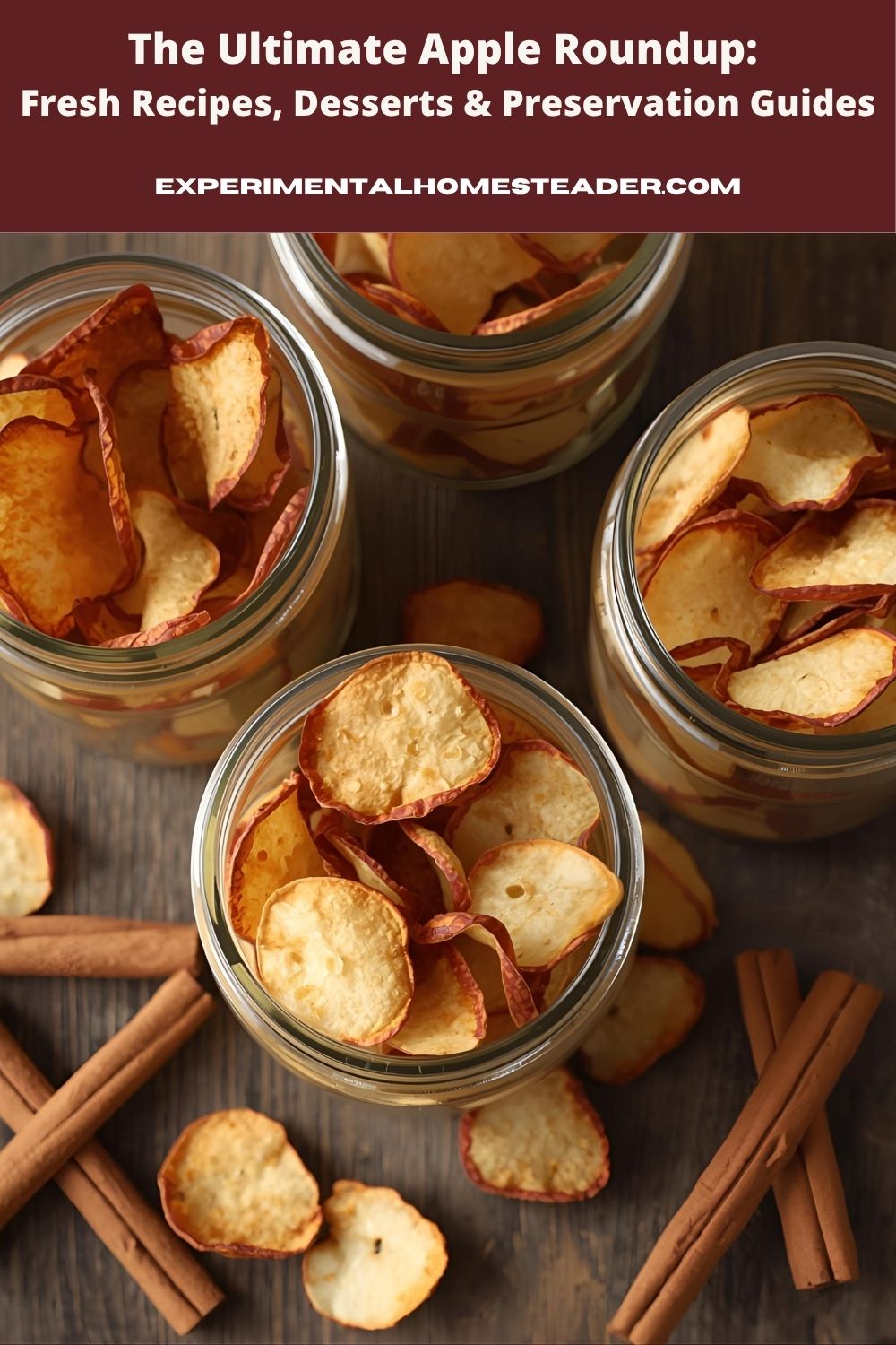 Homemade dehydrated apple chips stored in glass jars with cinnamon sticks on a rustic wooden table.