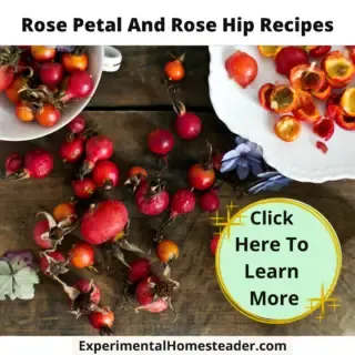Rose hips, some whole and some have the insides removed.