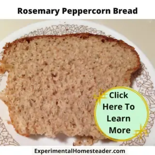 A slice of rosemary peppercorn bread on a saucer.