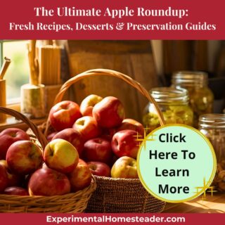 Wicker baskets filled with freshly picked apples on a sunny farmhouse kitchen counter with glass jars in the background.