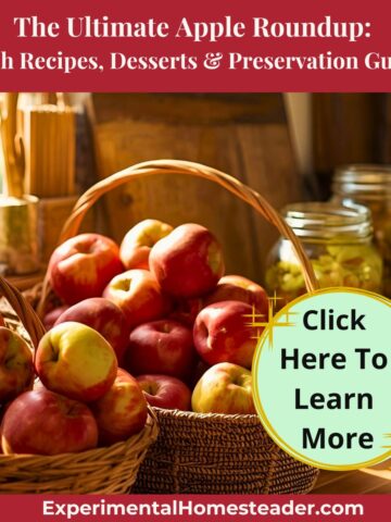 Wicker baskets filled with freshly picked apples on a sunny farmhouse kitchen counter with glass jars in the background.
