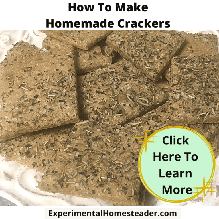 Homemade cracker recipes with herbs, perfect for homesteading and DIY snacks.
