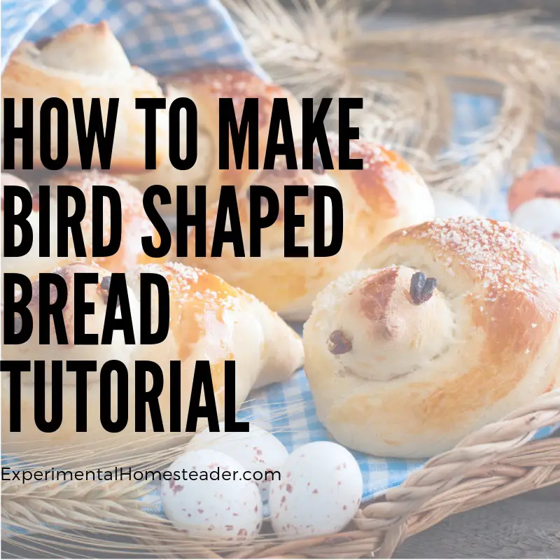 Finished bird shaped bread.