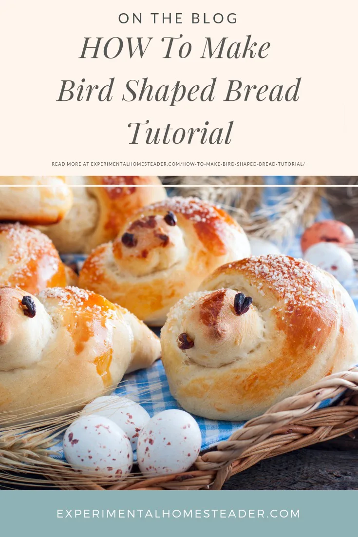 Finished bird shaped bread.