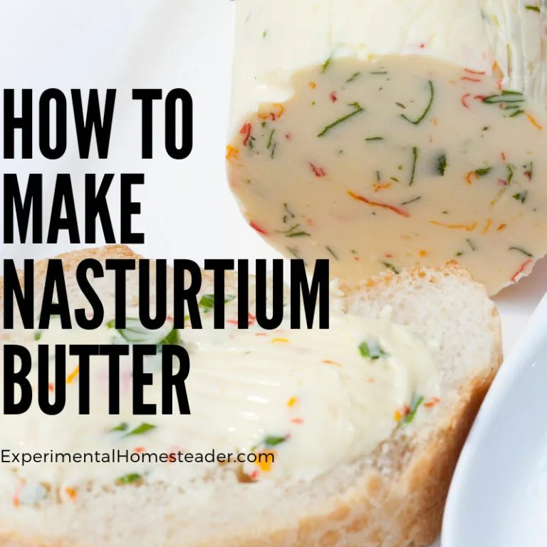 A log of nasturtium butter with some of the butter spread on bread.