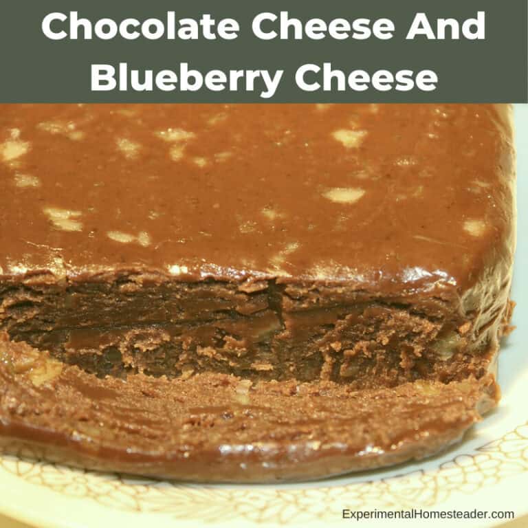 Chocolate blueberry cheese dessert with layered chocolate and blueberry cheese filling.