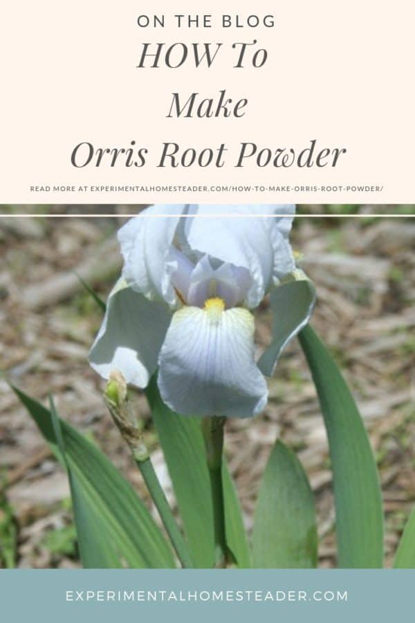 How To Make Orris Root Powder Experimental Homesteader