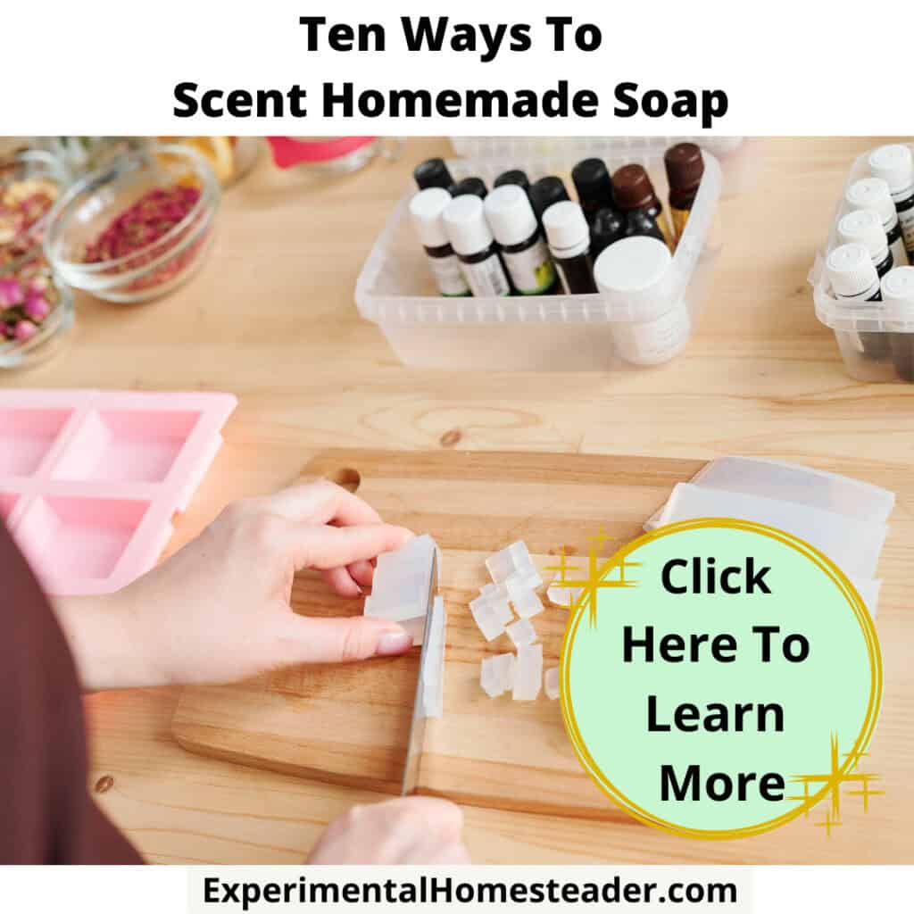 Bar Soap Recipe Experimental Homesteader
