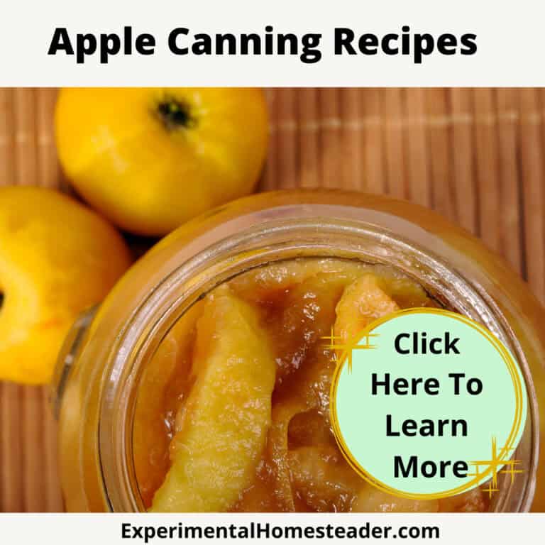Sweet homemade apple jam for canning and preserving apple harvests.