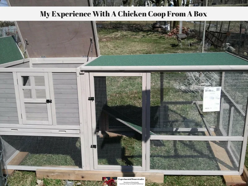 A chicken coop with the top open sitting outside.